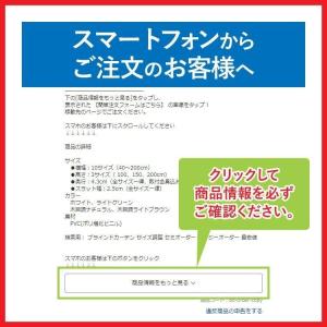 ブラインド ブラインドカーテン プラスチックブ...の詳細画像2
