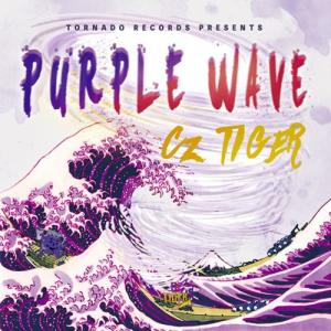 （e-BMS特典付）《直筆入り！Cz TIGERオフィシャルダブルカップ×CD》 PURPLE WAVE - Cz TIGER （HIP HOP / ヒップホップ）｜e-bms-store