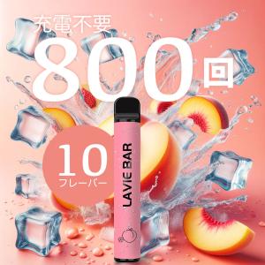 シーシャ 持ち運び ポケット 電子タバコ 使い...の詳細画像1