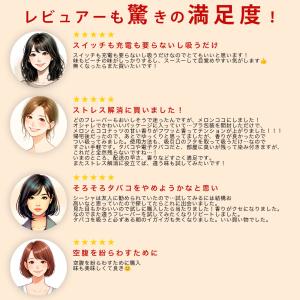 シーシャ 持ち運び ポケット 電子タバコ 使い...の詳細画像5