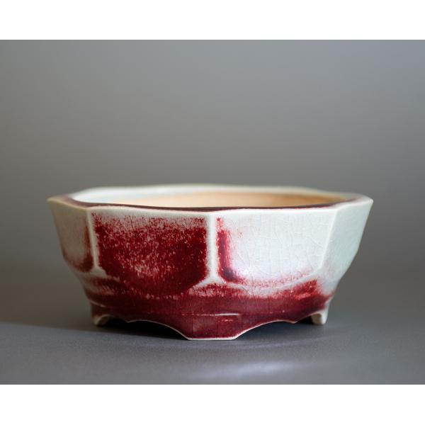 盆栽鉢　辰砂釉八角盆栽鉢　小品盆栽鉢　小さな盆栽鉢　國井正子　盆栽鉢作家　p1058