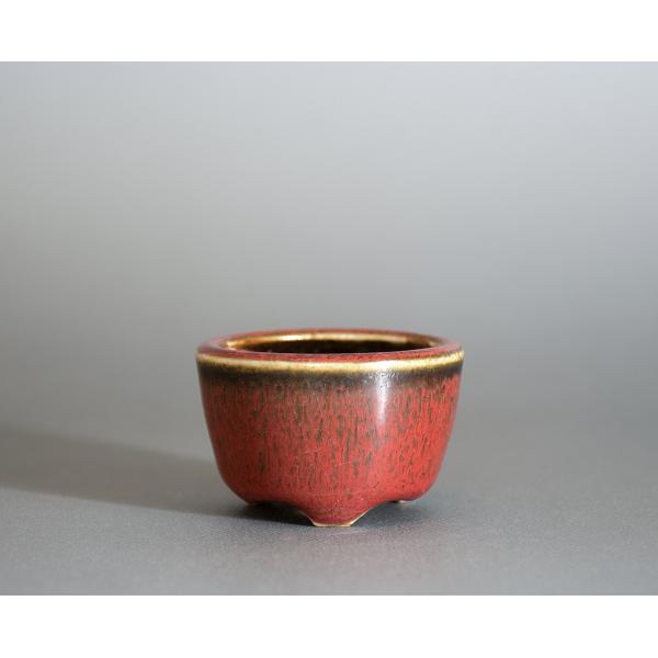 豆盆栽鉢　辰砂釉丸盆栽鉢　小さな盆栽鉢　小鉢　國井正子盆栽鉢　p1106