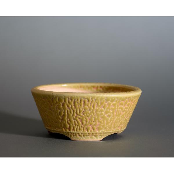 盆栽鉢　黄釉 丸盆栽鉢　小品盆栽鉢　國井正子盆栽鉢　p1155