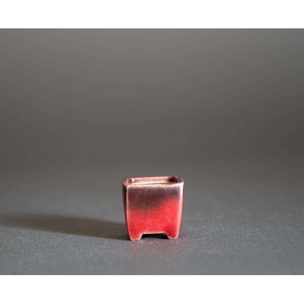 プチ盆栽鉢　赤釉 正方盆栽鉢　國井正子鉢　小鉢　小さな鉢　盆栽鉢作家　p1239