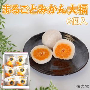 清光堂　一福百果　まるごとみかん大福　6個入　愛媛／おみやげ／ミカン大福