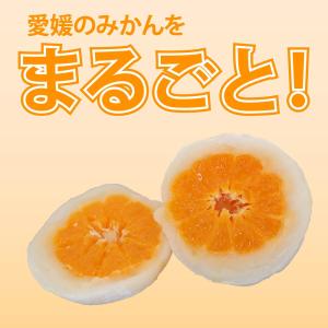 清光堂 一福百果 まるごとみかん大福 6個入 ...の詳細画像1