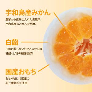 清光堂 一福百果 まるごとみかん大福 6個入 ...の詳細画像2