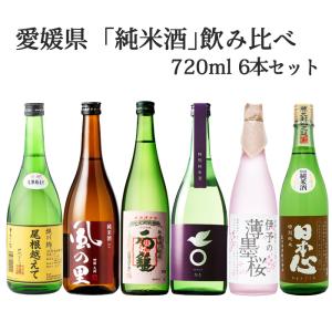梅錦山川 愛媛県酒造協同組合 愛媛県産「柑橘系リキュール」飲み比べ6