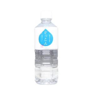 在庫切れ】「いわまの甜水」500mlペットボトル24本×2箱 : いわまの