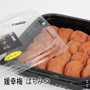 佐伯食品(株　 媛幸梅　はちみつ≪熨斗対応不可≫　愛媛／蜂蜜｜e-bussan