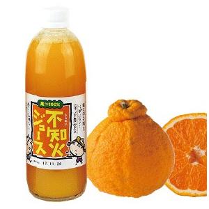 (株)オレンジフーズ　不知火ジュース　500ml×12本≪熨斗対応不可≫　　愛媛みかんジュース／しらぬい／100％ストレートジュース｜e-bussan