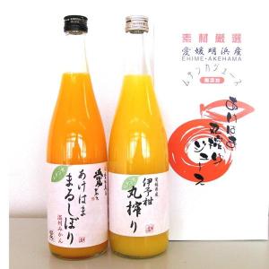 三ヶ日みかんジュース あおしまみかんジュース280g×24缶入り×2箱 : JA