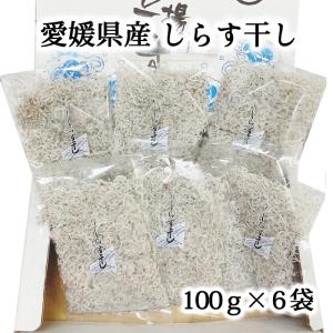 濱田水産 しらす干し 100g×6袋  愛媛県産／シラス／ちりめん