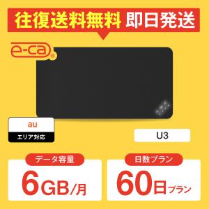 ポケットwifi レンタル 1ヵ月 6GB レンタルwifi 60日 wifi レンタル 60日 au FS030W｜e-ca-web