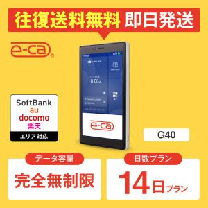 ポケットwifi レンタル 完全無制限 14日プラン 2週間 レンタルwifi wifi レン タル wi-fi ソフトバンク ドコモ au 楽天 G40