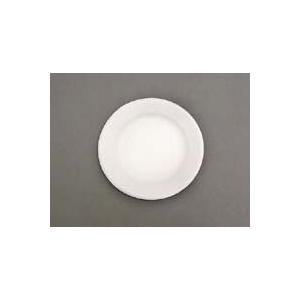 紙皿 ペーパーウエア スタンダードエコノミー No.5 T-5SE 13cm 50枚