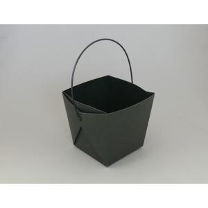 テイクアウト容器 取っ手付ランチボックス デリメイトTK125 カンゴウ