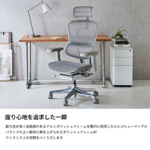2025年新型 レビュー特典あり エルゴヒュー...の詳細画像1