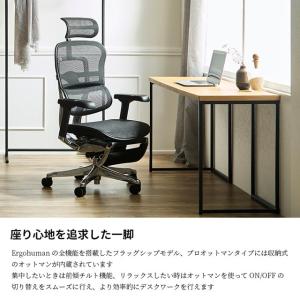 2026年新型 レビュー特典 エルゴヒューマン...の詳細画像1