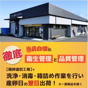 卵 たまご 白卵 小玉SSサイズ 216個(約...の詳細画像3