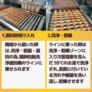 卵 たまご 白卵 小玉SSサイズ 216個(約...の詳細画像4