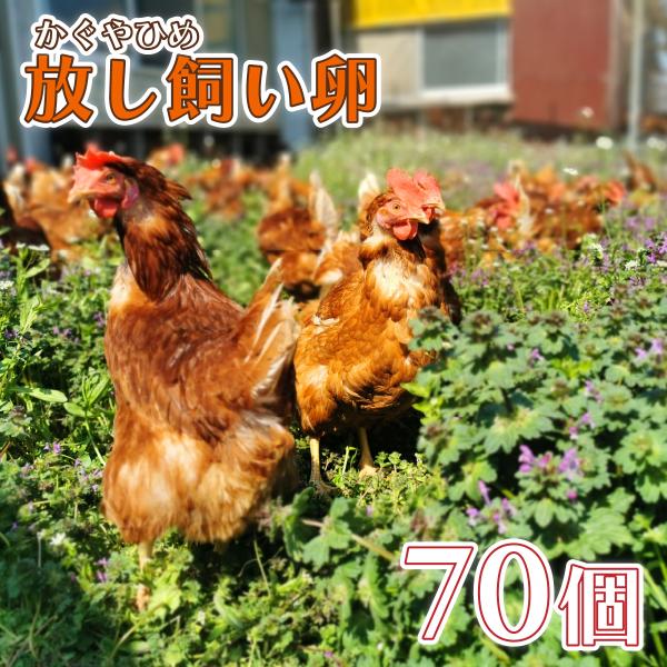卵 たまご 平飼い卵 かぐやひめ 70個 送料無料 産地直送卵 九州産福岡県産 お中元 お歳暮 自然...