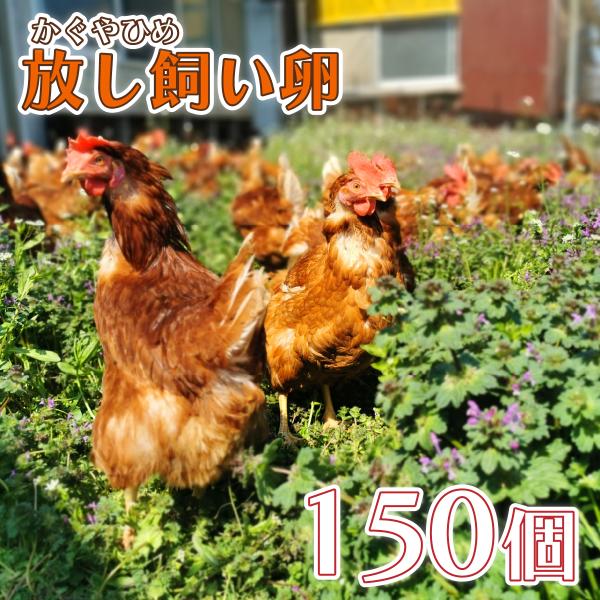 卵 たまご 平飼い卵 かぐやひめ 150個 送料無料 産地直送卵 九州産福岡県産 お中元 お歳暮 自...