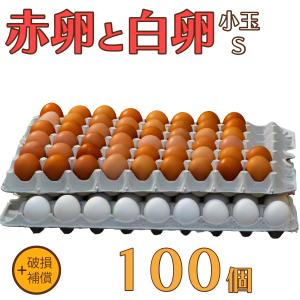 卵 たまご けいちゃんたまご 赤卵50個と白卵50個 Sサイズ 合計100個（約5Kg）+破損補償 送料無料 鶏卵 お得 九州産 お中元 お歳暮 破損補償入り 初産み卵