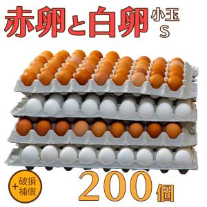 卵 たまご けいちゃんたまご 赤卵100個と白卵100個 Sサイズ 合計200個（約10Kg）+破損補償 送料無料 鶏卵 お得 九州産 お中元 お歳暮 破損補償入り 初産み卵