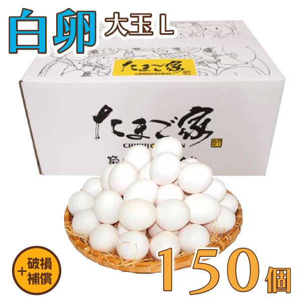 白卵 Lサイズ 150個（約10Kg）+補償 送料無料 大きな卵 鶏卵 お得 九州産 生食用 お中元...