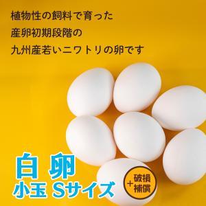 卵 たまご けいちゃんたまご 白卵 Sサイズ ...の詳細画像1