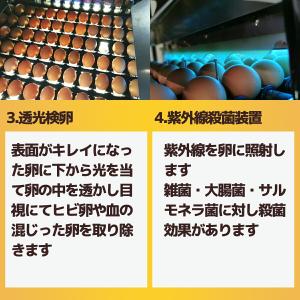 卵 たまご けいちゃんたまご 白卵 Sサイズ ...の詳細画像5