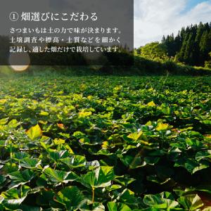 雪の日の干し芋 平干し 100g〜 優しい甘さ...の詳細画像3