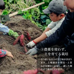 雪の日の干し芋 平干し 100g〜 優しい甘さ...の詳細画像5