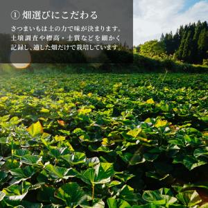 雪の日の干し芋 丸干し 100g〜 優しい甘さ...の詳細画像4