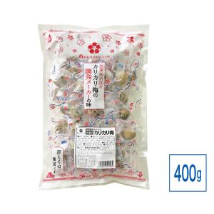 熱中症対策 あかぎのカリカリ梅 400g 梅 梅干し 塩分補給 お菓子｜MONOYA