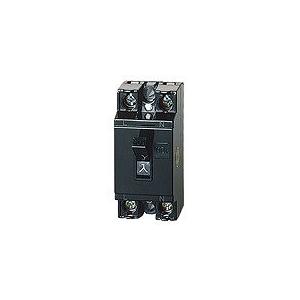 Panasonic　BS2021　安全ブレーカ　15A2P2E　17個セット Panasonic パナソニック BS2021 安全ブレーカ HB型 2P2E 15A