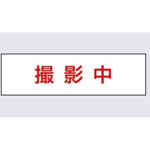 Panasonic（パナソニック） NNF11930LE1 標示灯 LED（昼白色