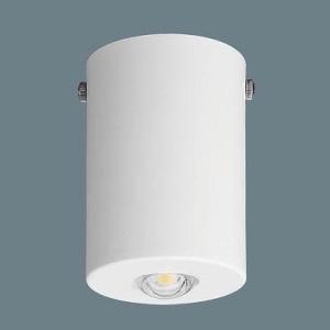 Panasonic パナソニック 非常用照明器具 LED（昼白色