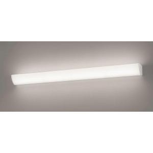 Panasonic（パナソニック） NNFB91605C LED非常灯専用型低天Ф100