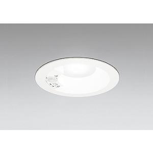 ODELIC オーデリック LED TUBE ベースライト 40形 トラフ型 2灯 LED