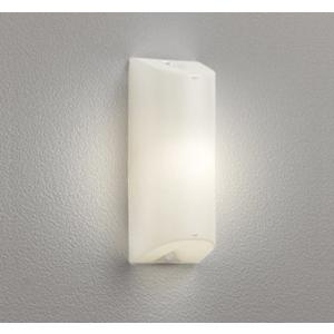 ODELIC（オーデリック） ポーチライト LED(昼白色) OG264117R 