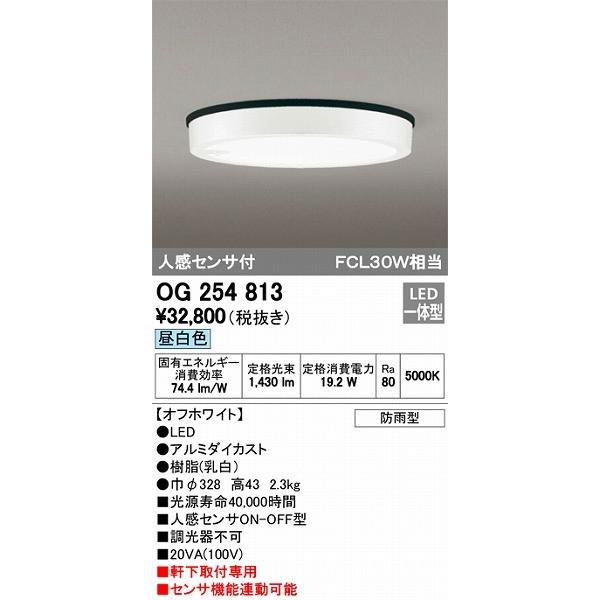 オーデリック エクステリアライト 軒下用シーリングライト LED（昼白色） センサー付 OG2548...