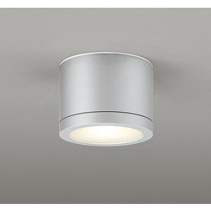 ODELIC オーデリック 非常灯・階段通路誘導灯 20形 LED（昼白色