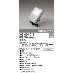 ODELIC（オーデリック） 投光器 LED（電球色） XG454028