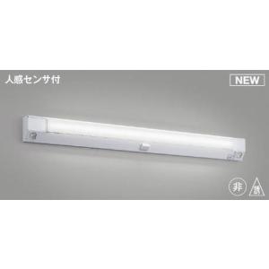 AE52195 コイズミ ユニット(本体別売) 誘導灯用 LED(昼白色)｜e-connect