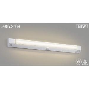 AE52196 コイズミ ユニット(本体別売) 誘導灯用 LED(電球色)｜e-connect