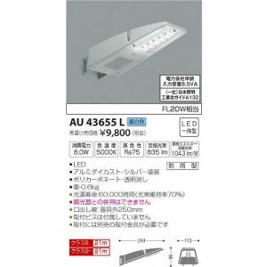 AU43655L コイズミ 防犯灯 LED（昼白色）｜e-connect