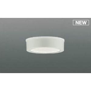 AU50496 コイズミ 浴室灯 ホワイト LED（昼白色）
