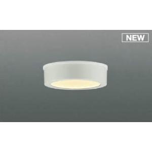AU50499 コイズミ 浴室灯 ホワイト LED（電球色）